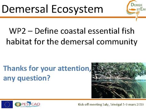 Demersal Ecosystem WP 2 Define coastal essential fish