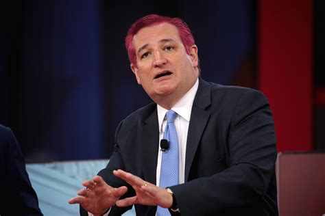 5 Reasons Senator Ted Cruz Should Reconsider His Stance on Tofu and ...