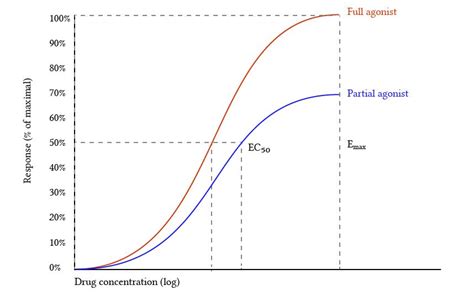 Full agonists, partial agonists and inverse agonists | Deranged Physiology