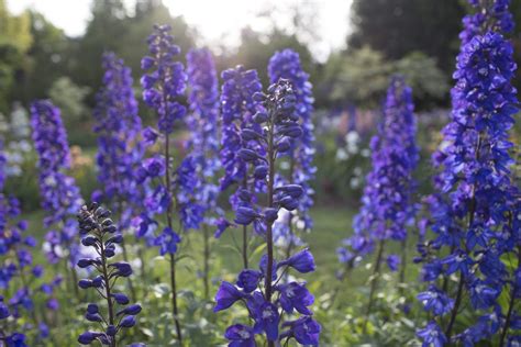 Oregon Flower Tour - Floret Flowers