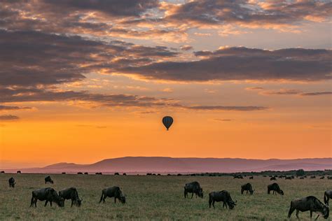 Maasai Mara National Park Reserve MagicalKenya Sunset & Sunrise ...