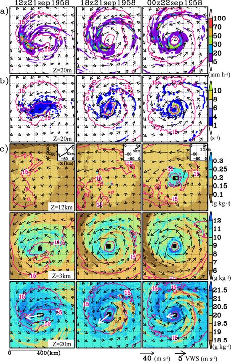 Storm-centered horizontal distributions of (a) hourly precipitation (mm ...