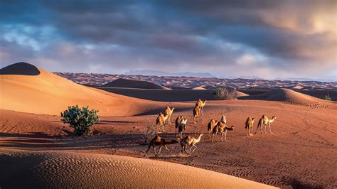 Creating dramatic desert photography | Photofocus