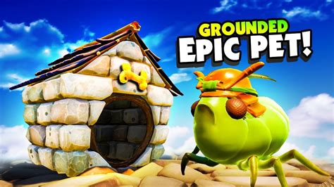 I Built a HOUSE and ARMOR For The MOST EPIC PET - Grounded - YouTube