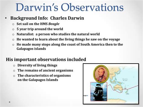 PPT - Darwin’s Theory PowerPoint Presentation, free download - ID:2575466