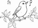 Vector Illustration Of Kids Alphabet coloring Book Page With Outlined  sketch template