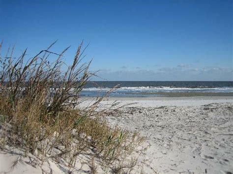 Brunswick, Georgia....Things to Do in Brunswick and the Golden Isles