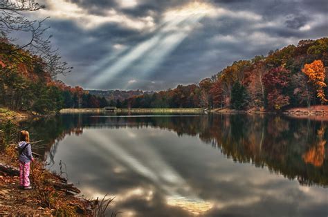 November at Rose Lake | Hocking hills state park, State parks, Lake