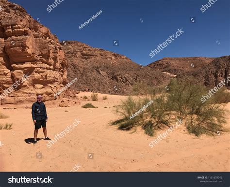 Man Walking Alone Sunny Desert Egypt Stock Photo 1131678242 | Shutterstock