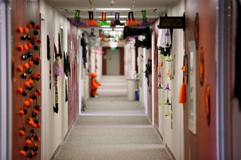 Halloween hall decorating: A competitive tradition: News at IU: Indiana ...