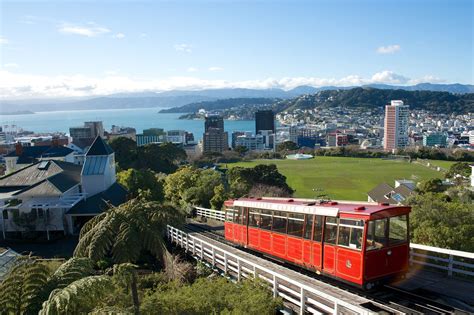 Wellington - City view from the Botanical Gardens, in Wellington, capital city of New Zealand ...