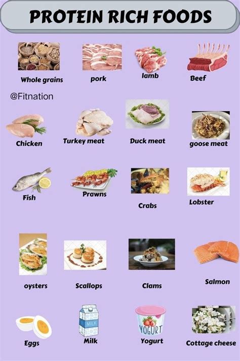 Protein Rich Foods for a Healthy Diet