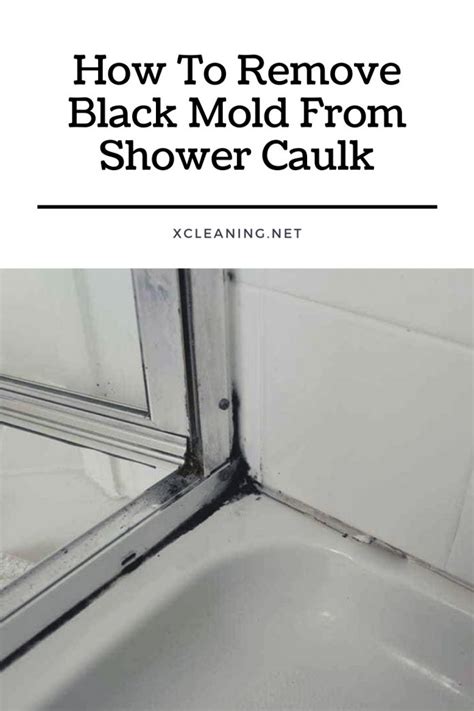 How To Remove Black Mold From Shower Caulk | xCleaning.net - Your ...