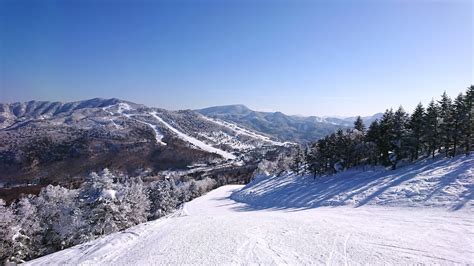 Shiga Kogen Ski Resort - SNOW MONKEY RESORTS