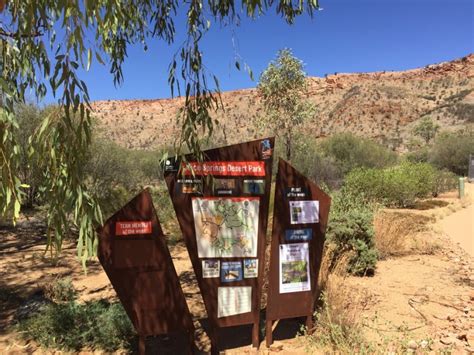 A Visit to the Alice Springs Desert Park - 5 Lost Together