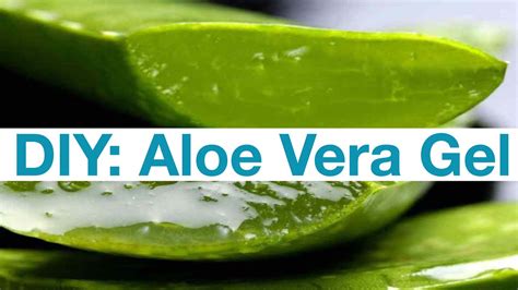 How to make your own aloe vera gel | DIY - YouTube