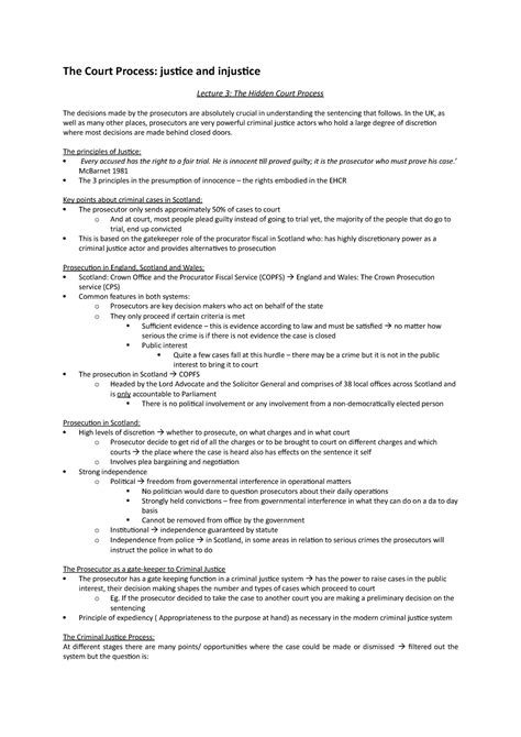 The court process and in:justice - The Court Process: justice and ...