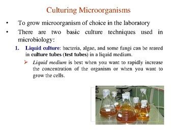 Biotechnology - Microbiological Techniques by UPLINE SCIENCE BOOKSTORE