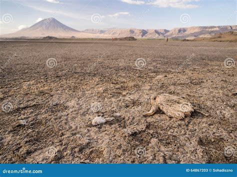 Lake Natron Area Landscape, Tanzania, Africa. Ol Doinyo Lengai Volcano Royalty-Free Stock Photo ...