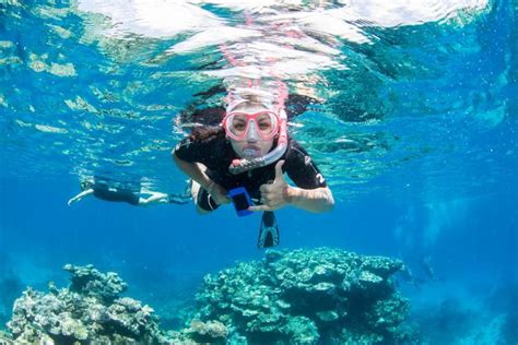 Gallery | Great Barrier Reef Conservation, Australia | WorkingAbroad