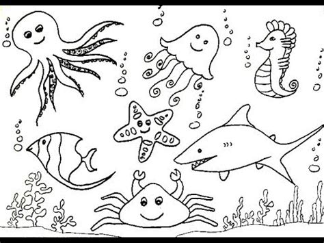 How To Draw Sea Creatures (Animals) - Sea Horse, Shark, Jelly Fish ...