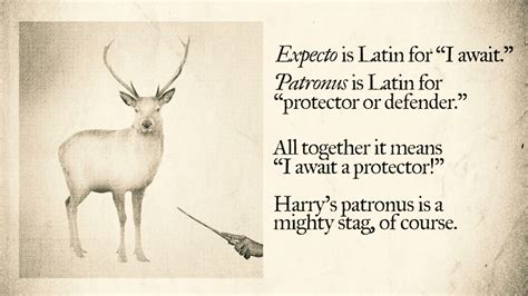 Harry Potters Patronus Meaning | Patronus meaning, Harry potter ...