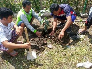 Warga LDII Kerja Bakti Tanam Pohon Mangga - DPW LDII PROV BENGKULU