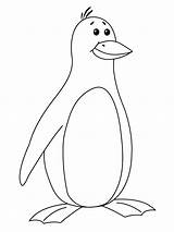Free Printable Penguin Coloring Pages For Kids sketch template