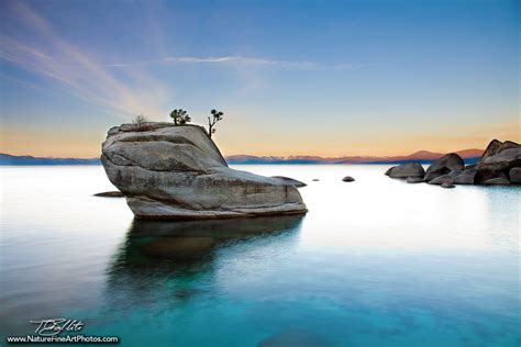 Bonsai Rock Lake Tahoe