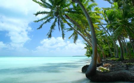 Fanning Atoll, Kiribati - Beaches & Nature Background Wallpapers on Desktop Nexus (Image 1684399)