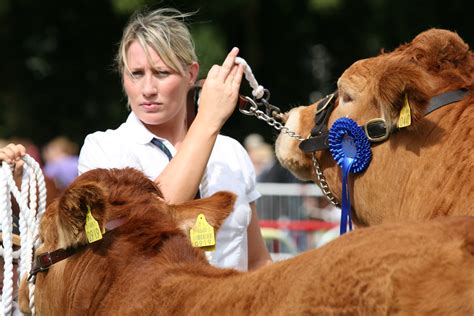 Piltown Show, Co. Kilkenny, 2010. | Flickr