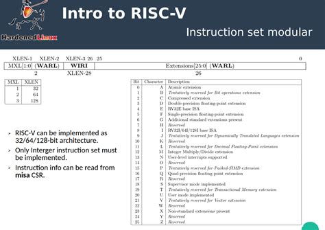 RISC-V Instruction set naming – Kernel, Virus and Programming