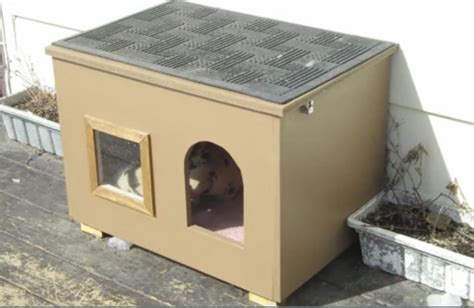 15 DIY Heated Cat House For Winter: Do It Yourself 2022