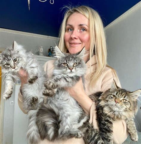 22 Adorable Maine Coons With Their Owners - MaineCoon.org