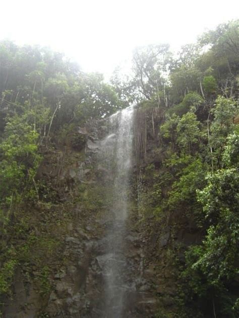 Hiking Review: Secret Falls in Kauai - Villas at Poipu Kai