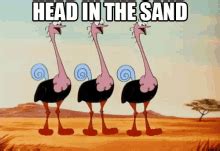 Head In Sand Ostrich GIF – Head In Sand Ostrich Shy – Откриване и споделяне на GIF файлове