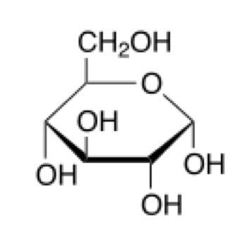 Ribose vs. Deoxyribose Sugar | Definition, Role & Structure - Lesson ...