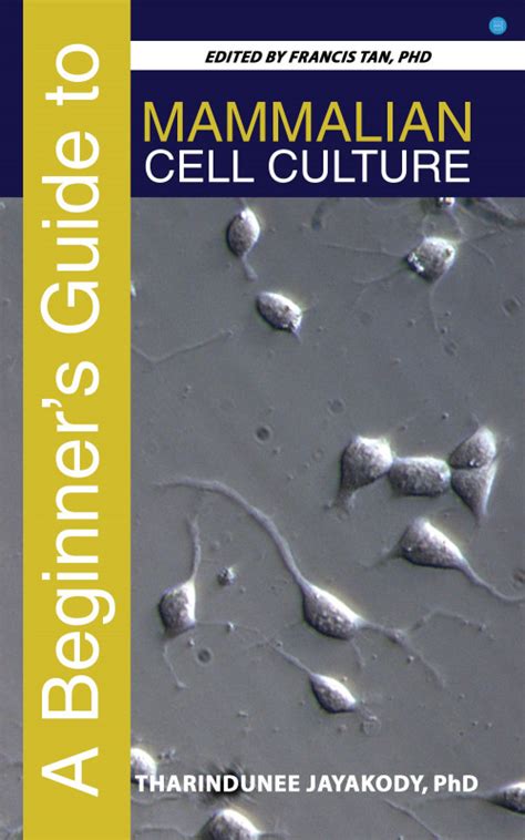 A Beginner's Guide to Mammalian Cell Culture