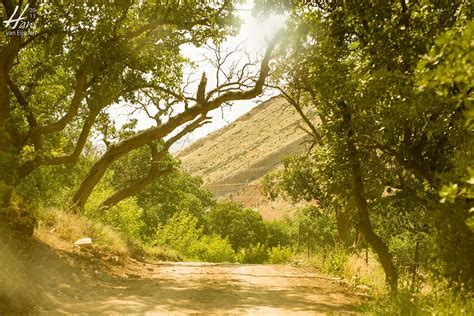 Iraqi Kurdistan: Landscapes & Nature - Hans van Eijsden Photography