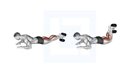 Dumbbell Lying Hamstring Curl - Guide, Benefits, and Form