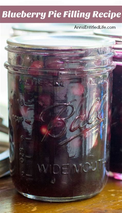 Blueberry Pie Filling Recipe