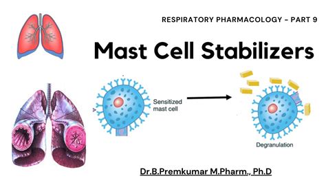 Mast cell stabilizers - Respiratory Pharmacology - Part 9 - YouTube