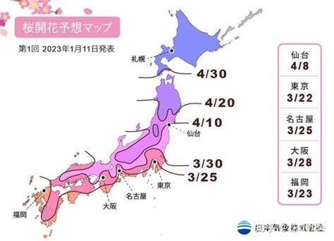 2023年日本樱花开放前线图来啦！赶快加入赏樱自由行吧！ - 知乎