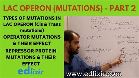 LAC OPERON - PART 2 | LAC OPERON MUTATIONS | GENETICS - YouTube