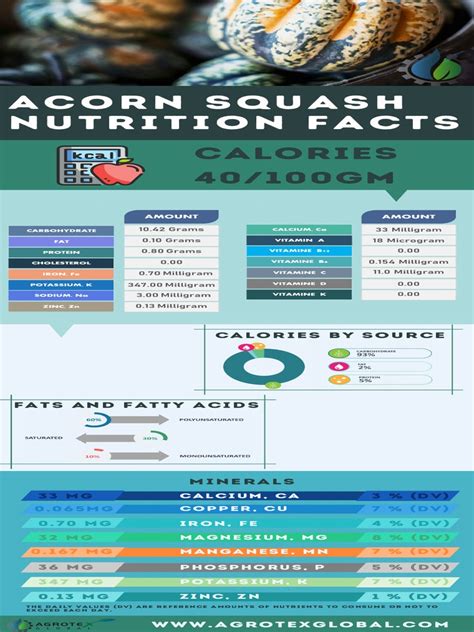 Acorn Squash Nutrition Facts: Calories 40/100GM | PDF