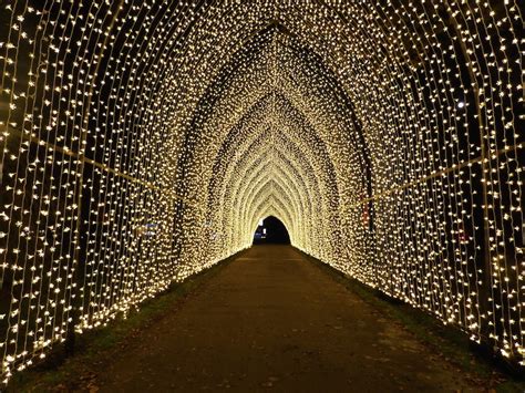 Christmas At Kew Gardens 2018: In Photos | Londonist