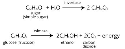 Ethanol - some interesting facts