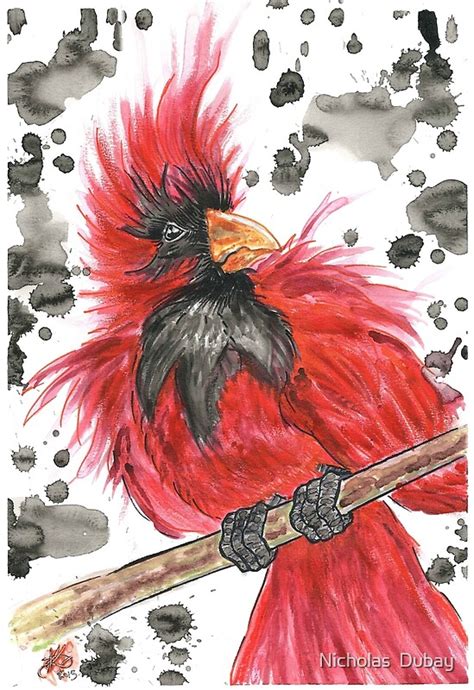 "Cardinal in watercolor" by Nicholas Dubay | Redbubble