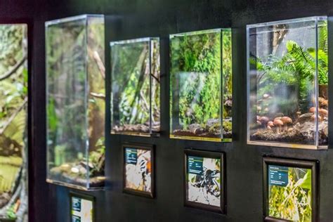 Image result for zoo insectarium Museum Exhibition Design, Design Museum, Reptile Shop, Houston ...