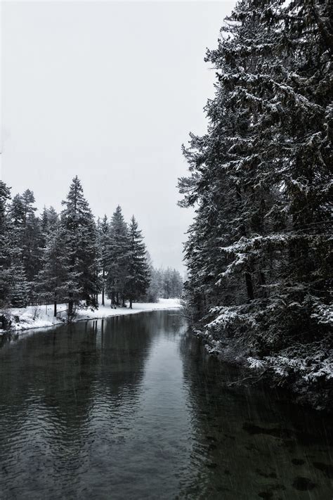 Banff National Park, River, Winter, Trees HD wallpaper | Wallpaper Flare